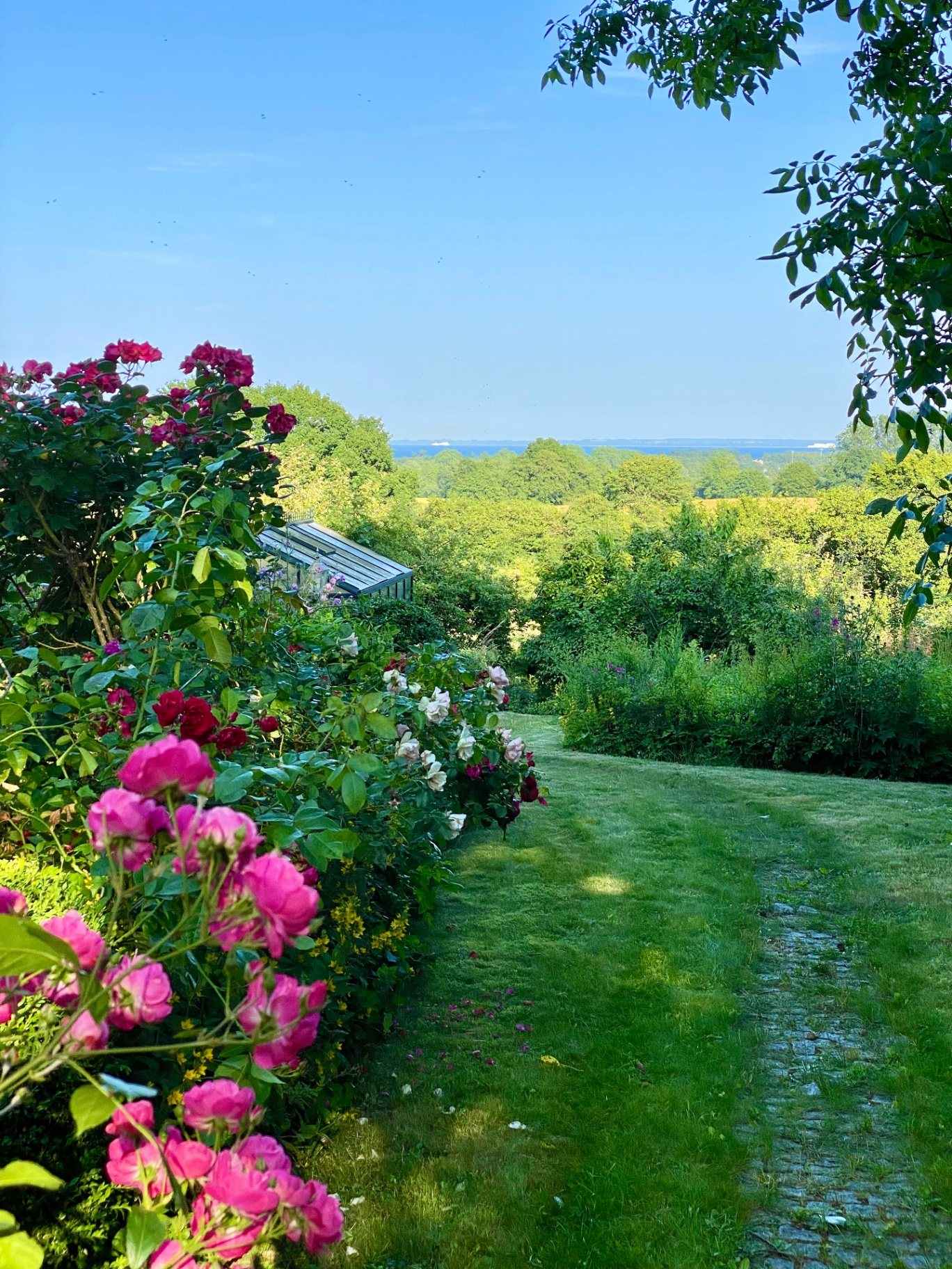 Gartenweg mit Rosenhecke und Blick zur Ostsee