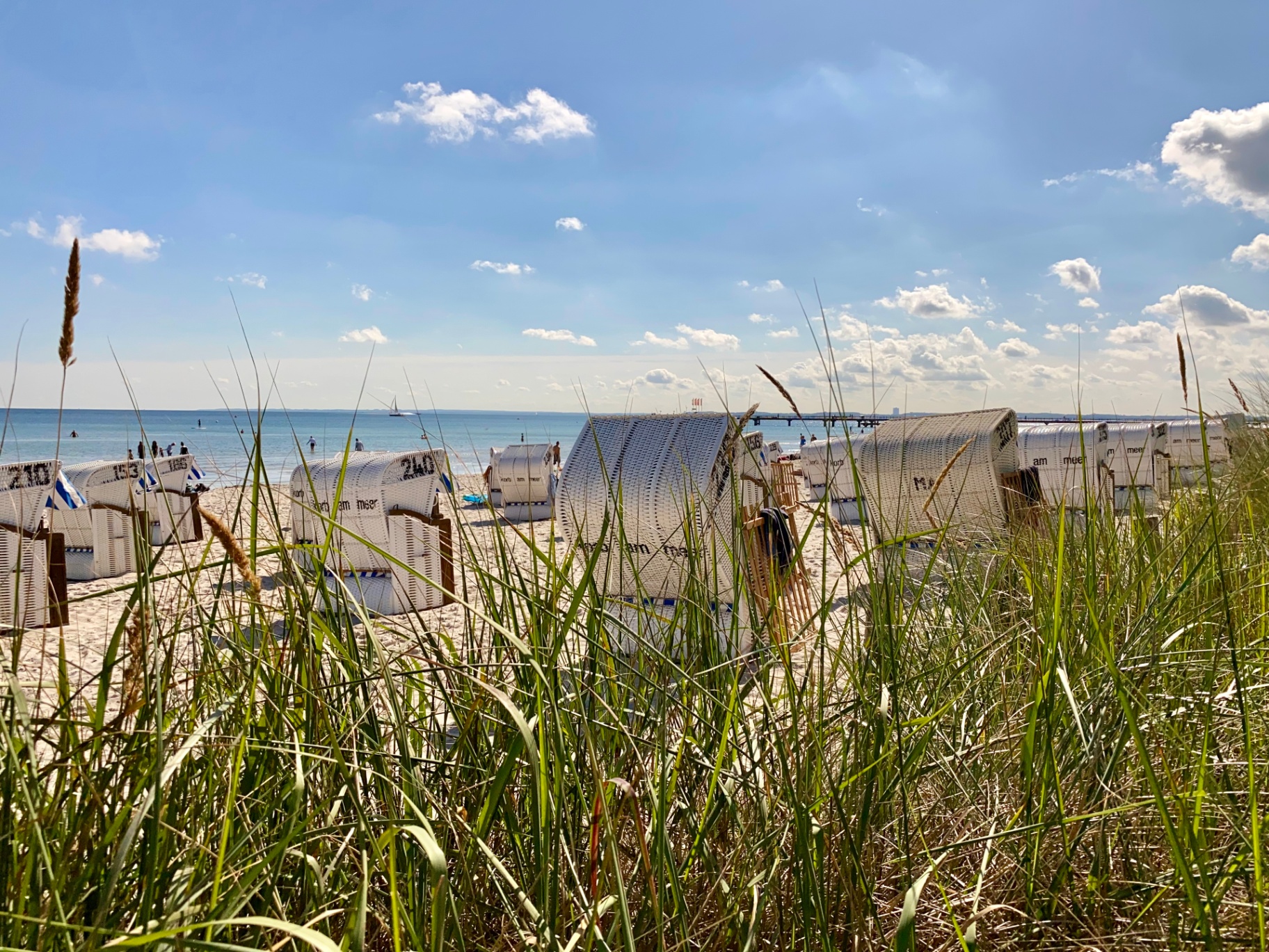 Strandkörbe am Ostseestrand mit Dünengras in Scharbeutz