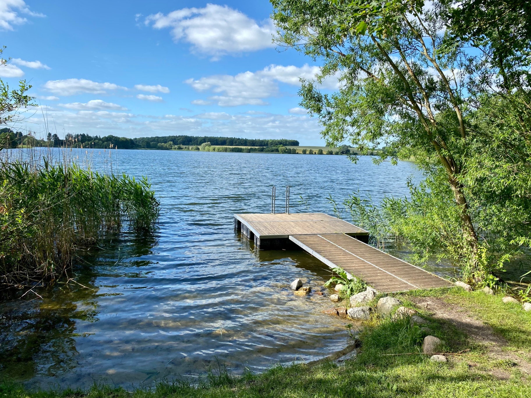 Holzsteg am See mit klarem Wasser