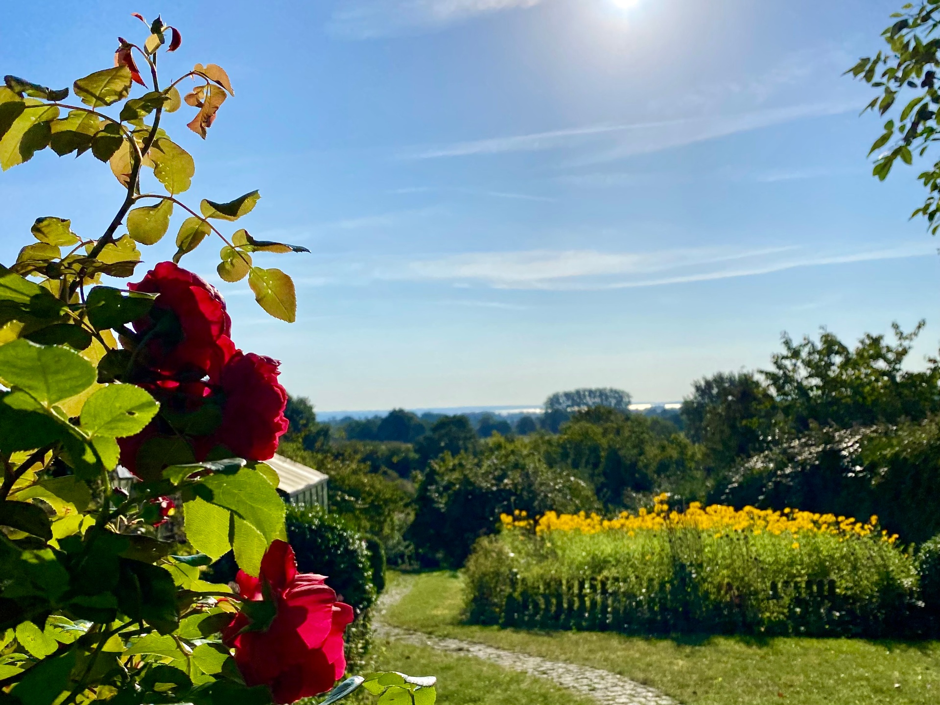 Blick durch den Rosengarten Richtung Ostsee - Ferienhaus Kuschel-Muschel